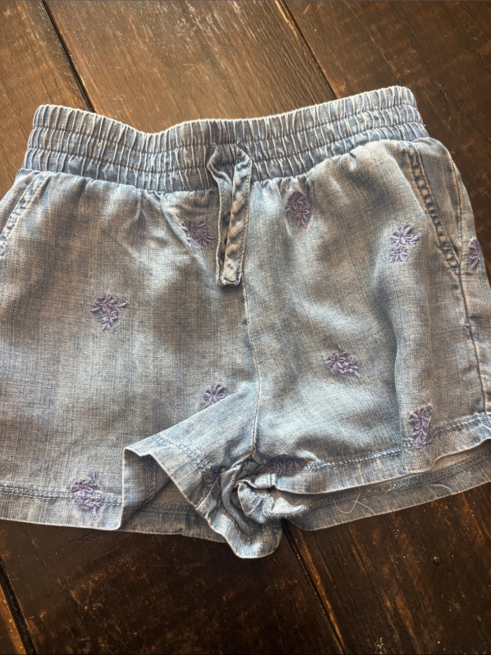 Splendid Light Blue Embroidered High Waist Women’s Shorts